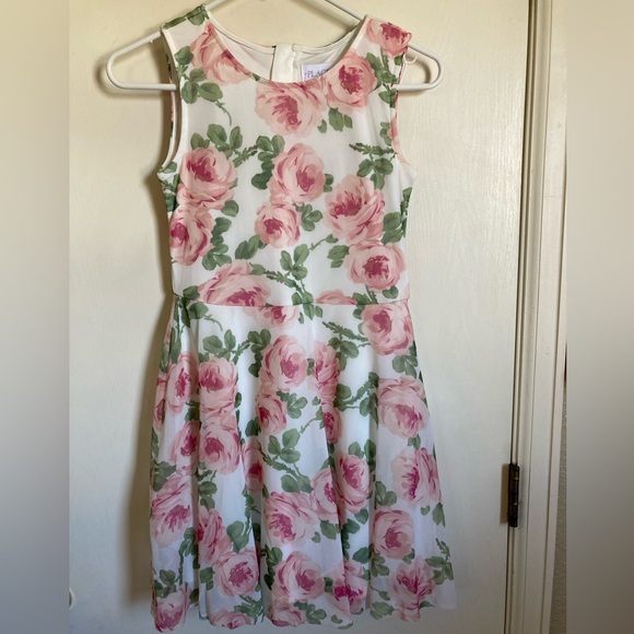 🌸Place New White Pink Roses Mesh Lace Overlay Sleeveless Dress - Picture 1 of 8